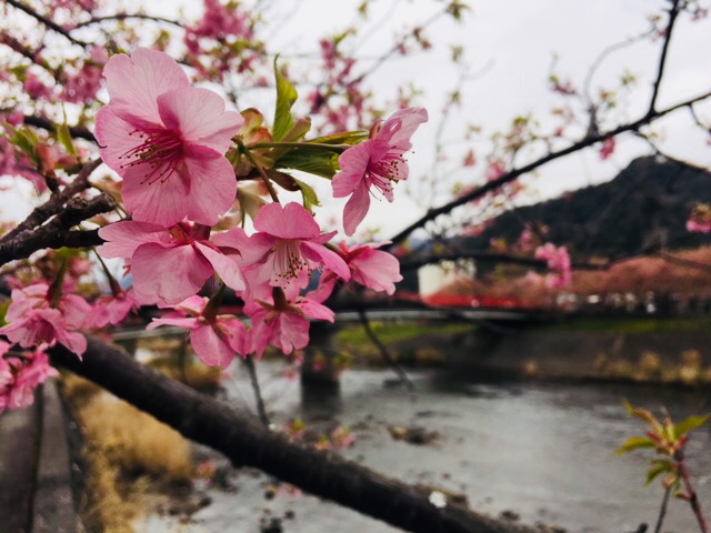 休日に海沿いへ