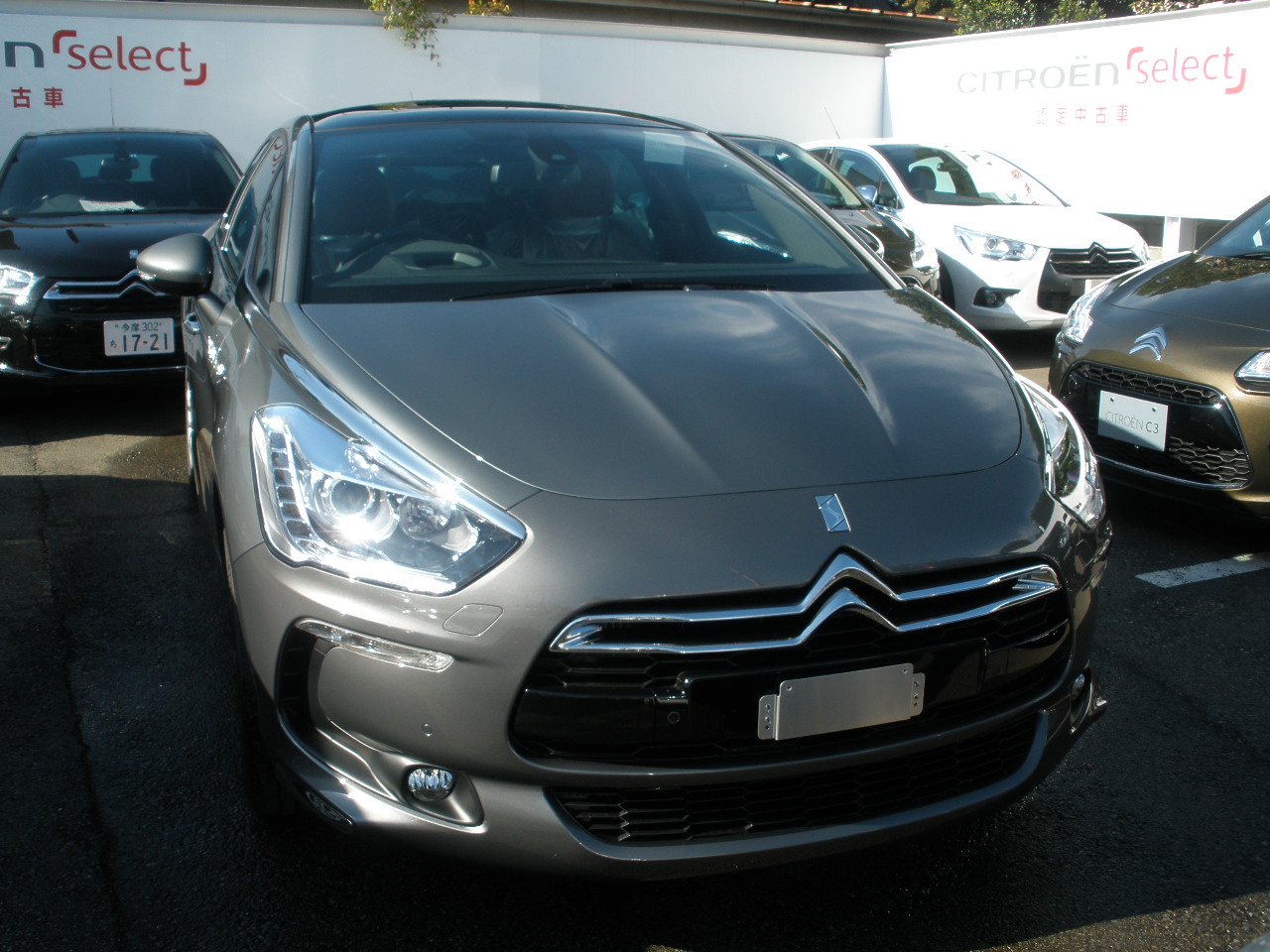 ＤＳ５入荷しました。即納車可！