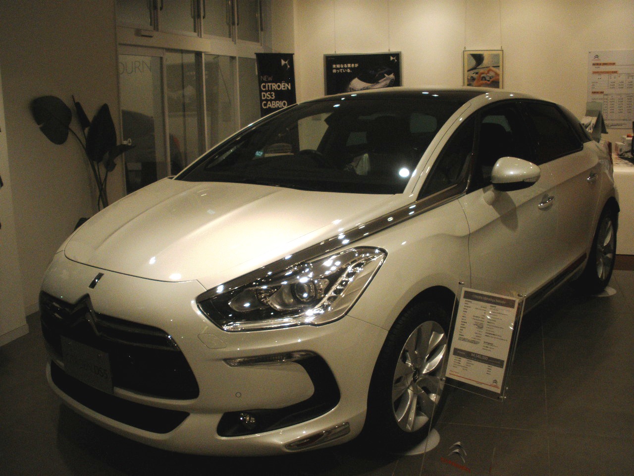 DS5　ホワイトメロディー♪