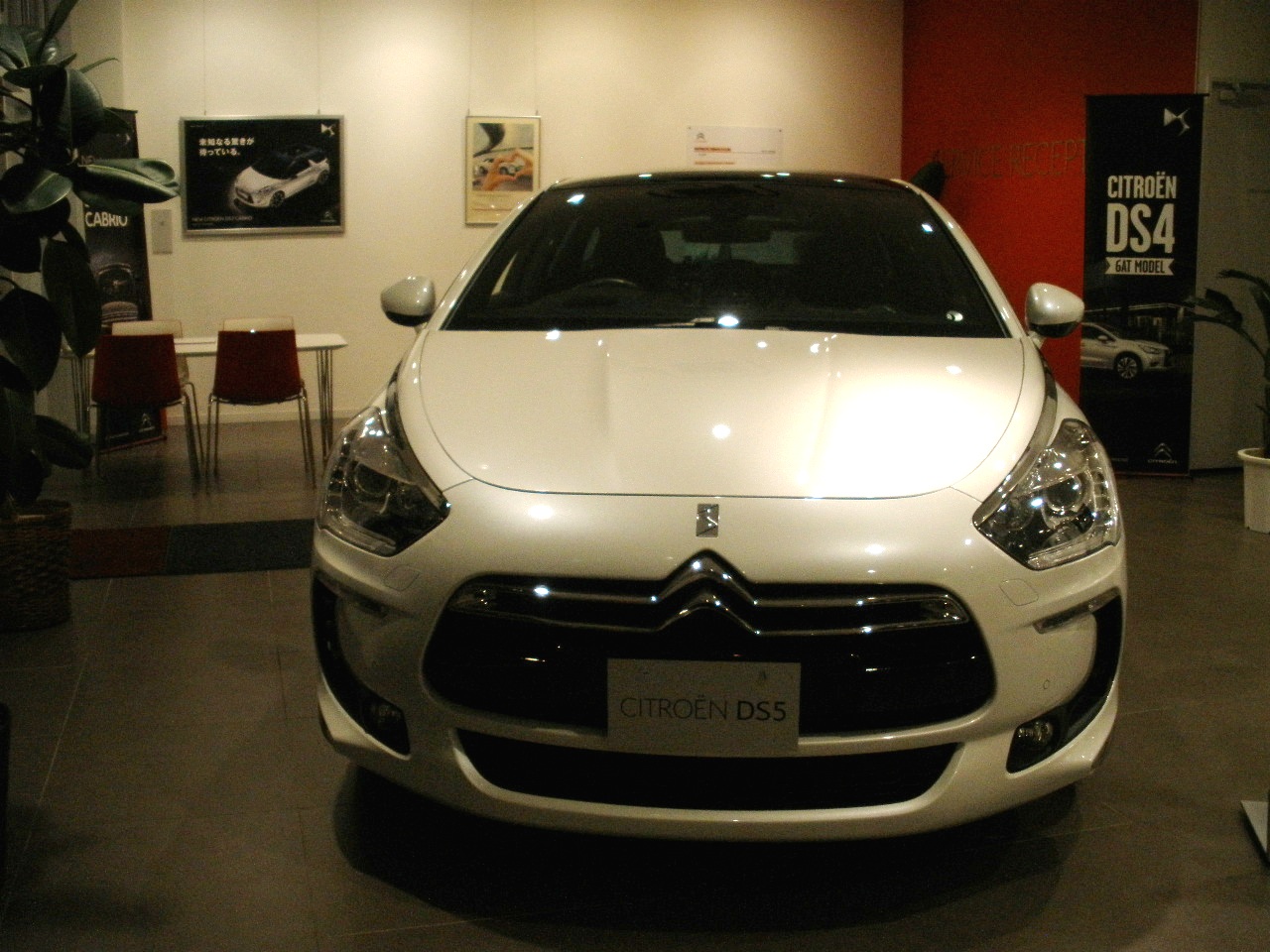 DS5　ホワイトメロディー♪