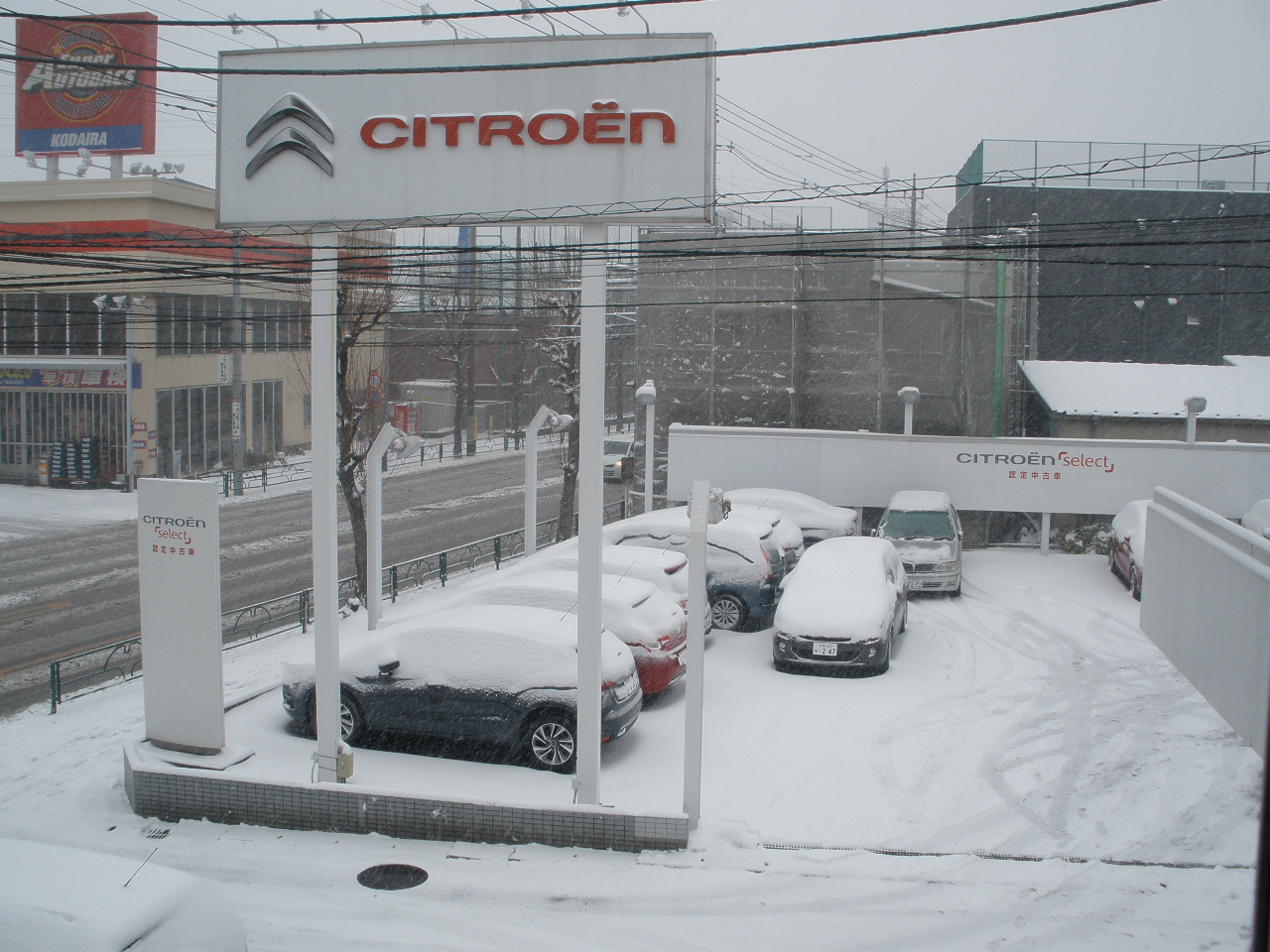 雪！雪！！雪！！！