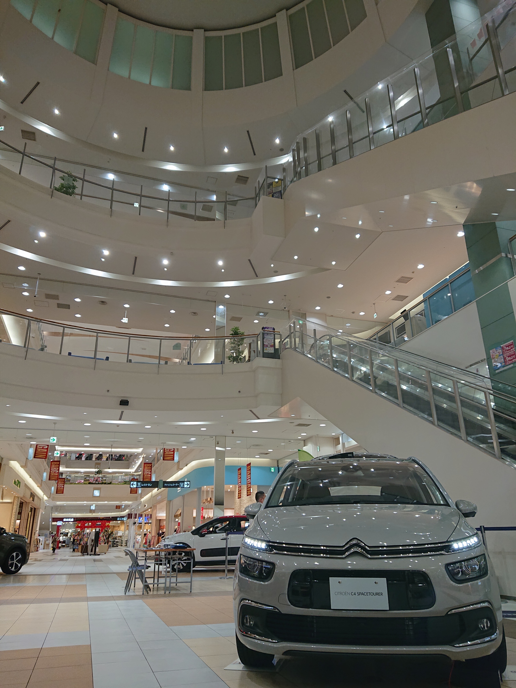 今週末がラストチャンス！