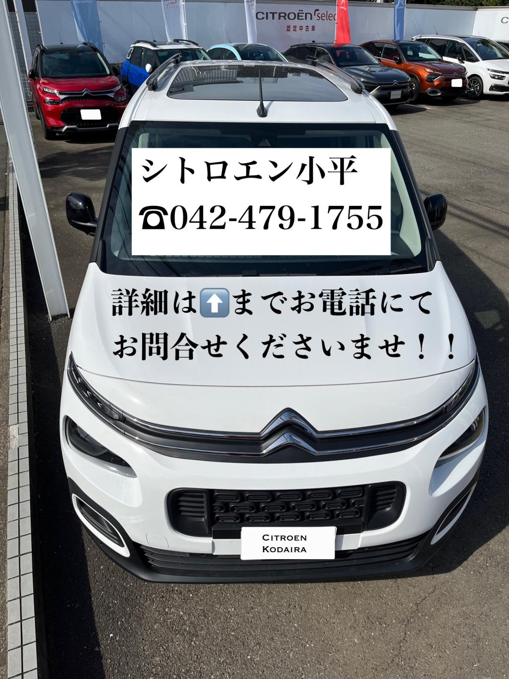 緊急！！シトロエン小平ベルランゴ認定中古車情報！！