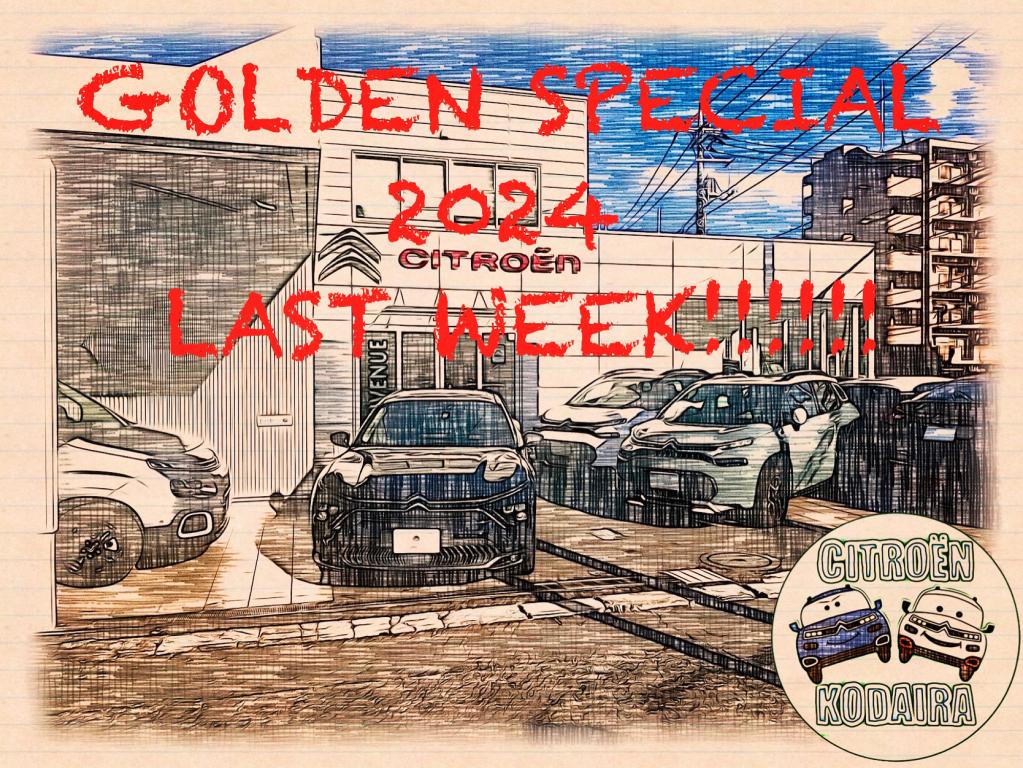 GOLDEN SPECIAL 2024 LAST WEEK!!