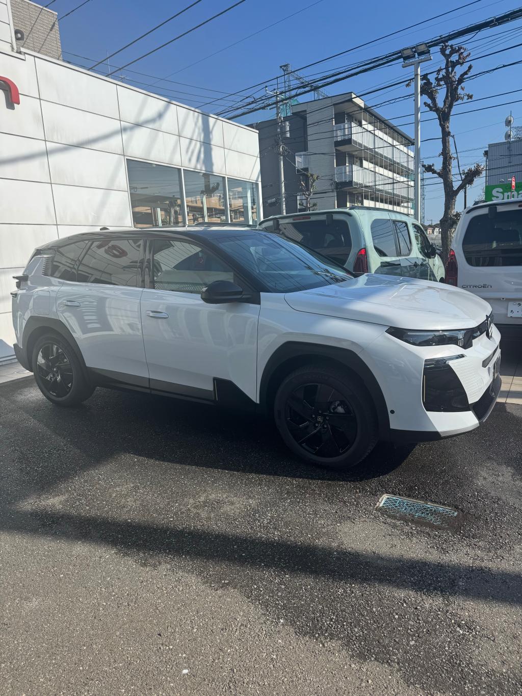 試乗車ございます。