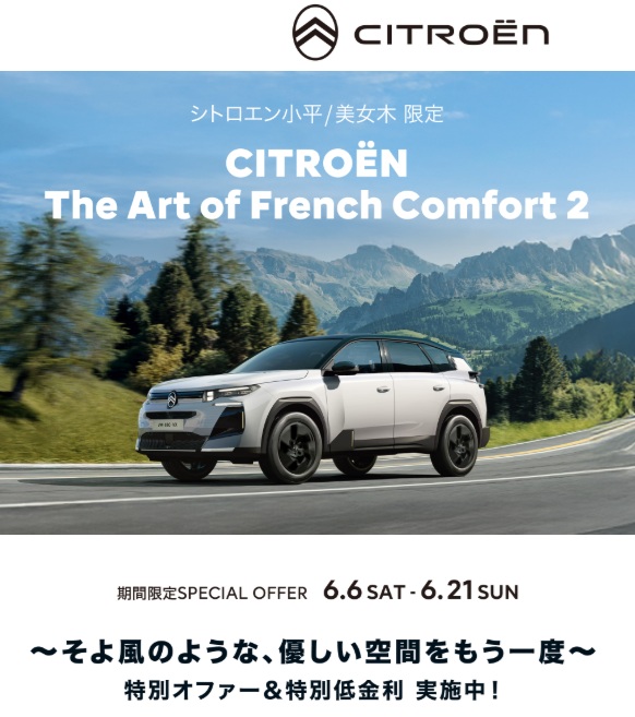 The Art of French Comfort 2