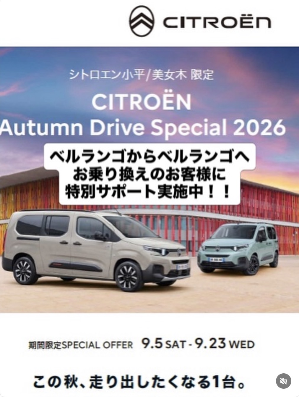 あと5日!!